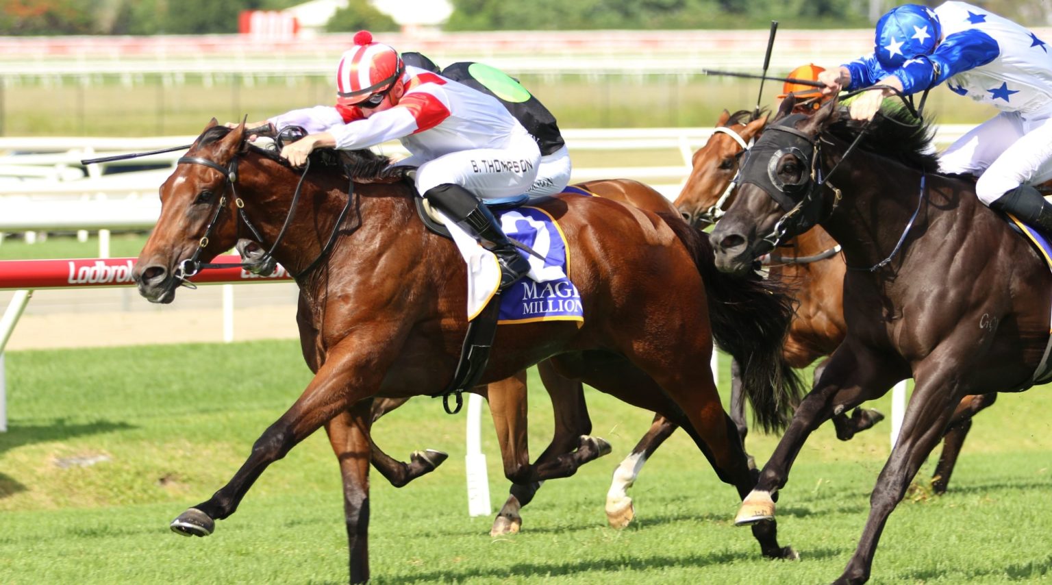 Rosemont's Magic 2024 Yearling Draft! Rosemont Estate